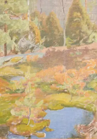 Landschaft 1