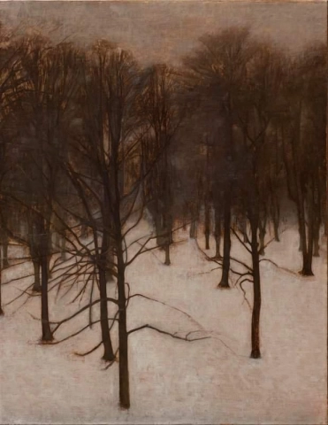 Parque Sondermarken en invierno 1895-96