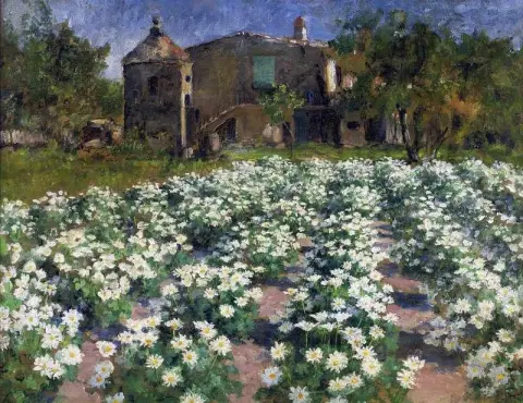 Fields Of Flowers