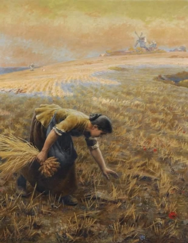 Gleaning