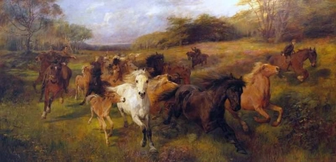 Veulenjacht in het New Forest 1897