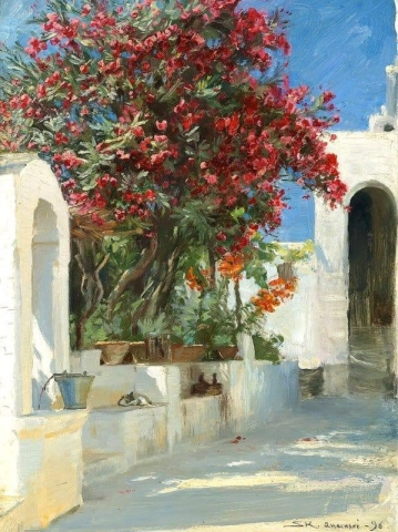 Oleander i blom. Solsken. Anacapri 1896