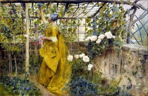 The Vine 1884