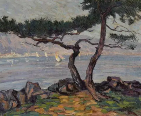 Pini In Riva Al Mare