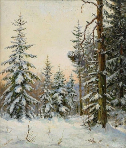 Bosco sotto la neve