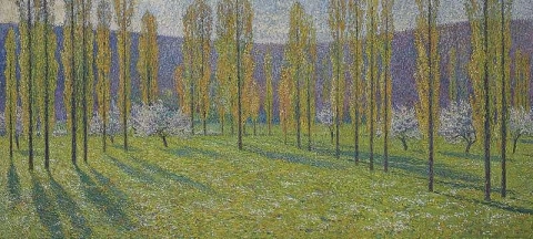 Alberi Di Pioppo In Primavera Sul Bordo Del Verde