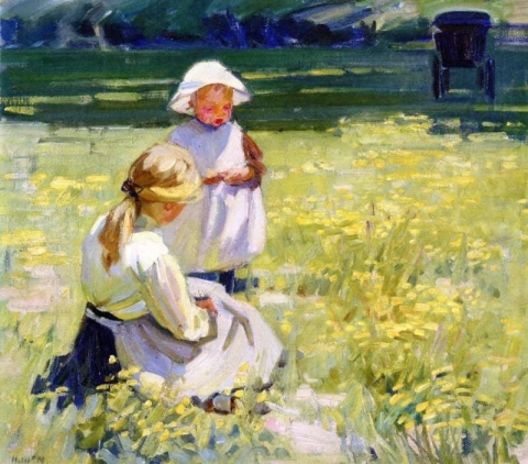 Buttercups Ca. 1910