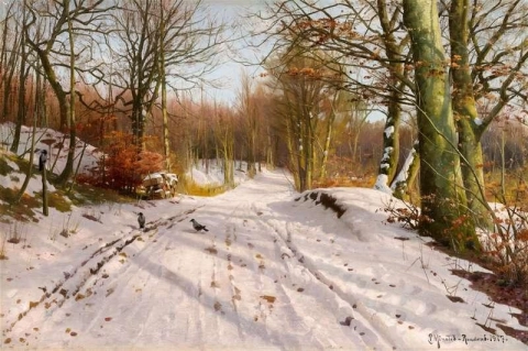 Bospad in de winter van 1917