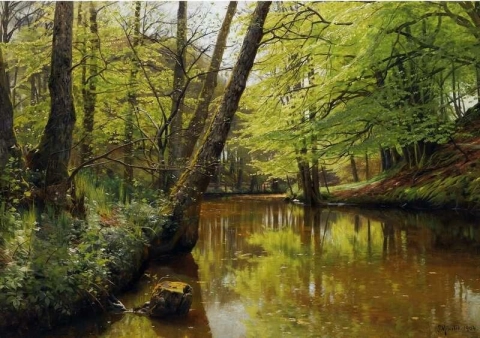 Fiume che scorre attraverso una foresta tranquilla 1904