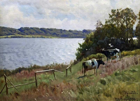 paisaje de verano con vacas