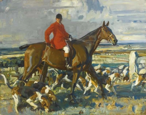 Noord-Cornish Hunt