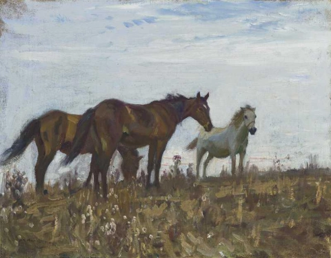 On The Moors 1911