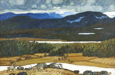 Sonfjallet Med Duvknatten 1904