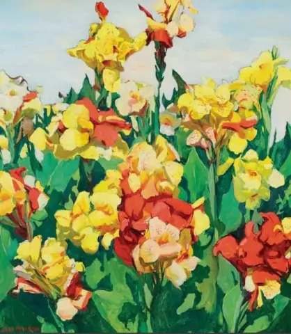 Eighteen Yellow Cannas 1930