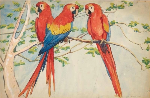 Parrots