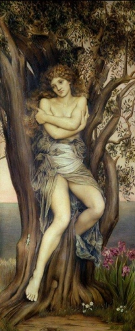 Dryad 1884