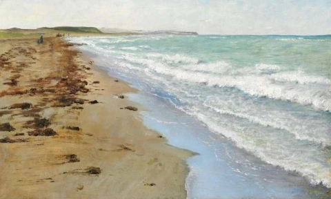 Utsikt från stranden i Helleb K 1889