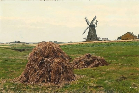 Een veld met hooibergen en een molen in de verte