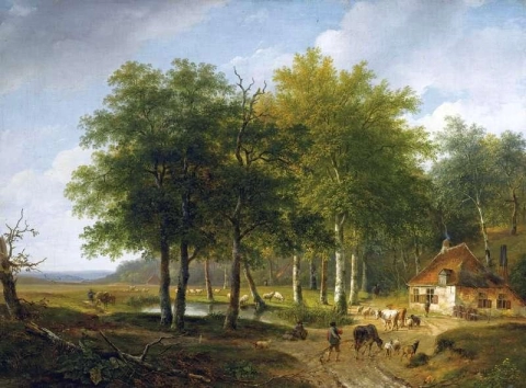 Eine Herde mit Rindern in einer Sommerlandschaft von Veluwe