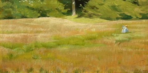 Young Girl Is Picking Flowers In A Cornfield 1904