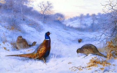 Pheasants In Winter 1909