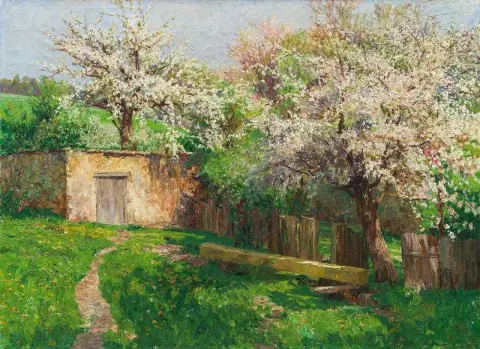 Frühling im Holzeinschlag bei Gfohl