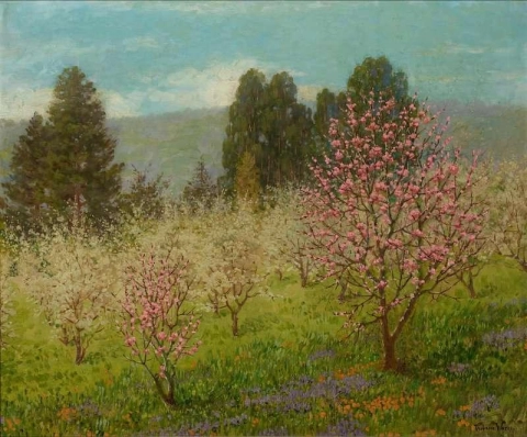 Bloesemtijd in Saratoga, Californië, 1909