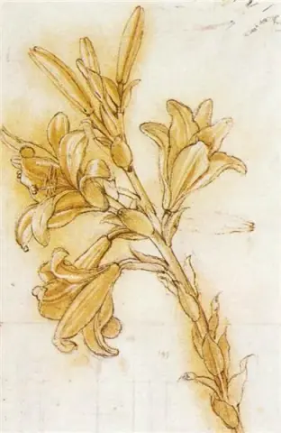 Lily ca. 1473 - ca. 1475