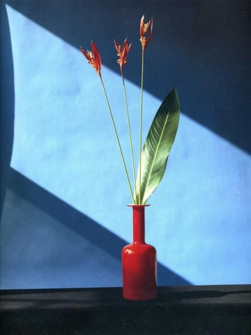 Claude di Plácido, Mapplethorpe (1946-1989)