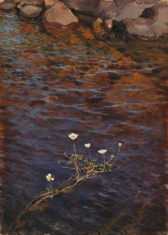 Eero Jarnefelt Pond Water Crowfoot - Erbaccia di stagno