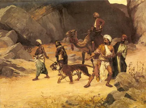 Tijger jacht