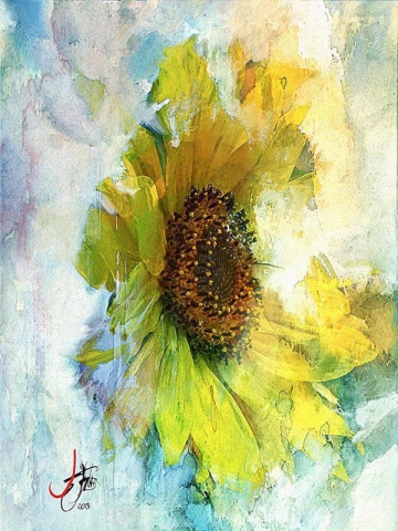 Jörn Mcart. Sonnenblume