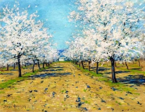 Lowell Birge Harrison, Apple Blossoms