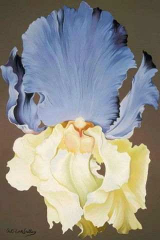 Lowell Nesbitt Yellow And Blue Iris 1973