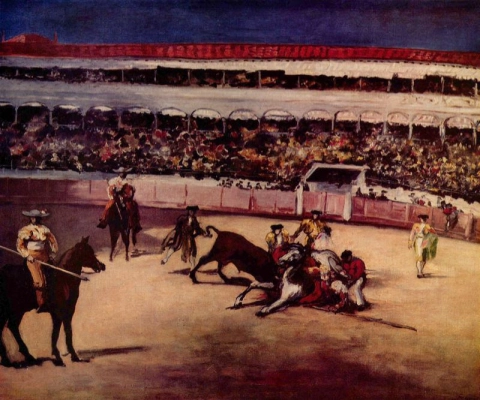 Bull Fight