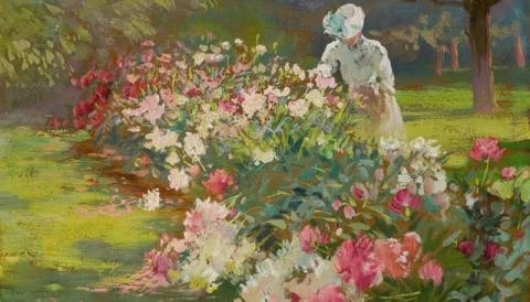 Matilda Browne, Peonie, 1907 circa