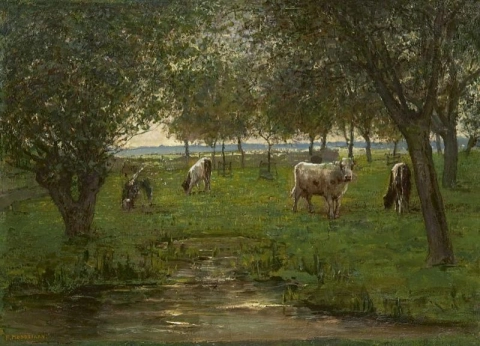 Vacas em um prado