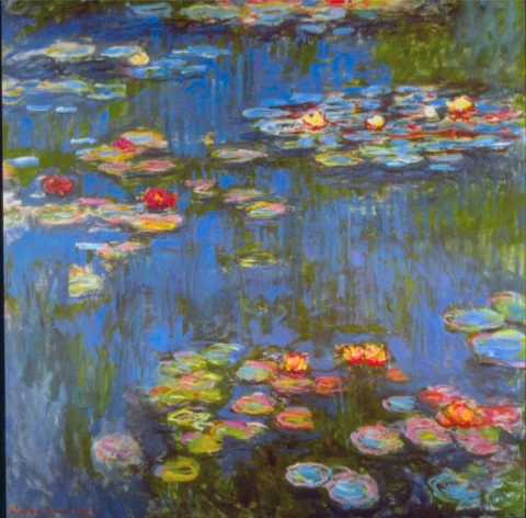 Water lilies