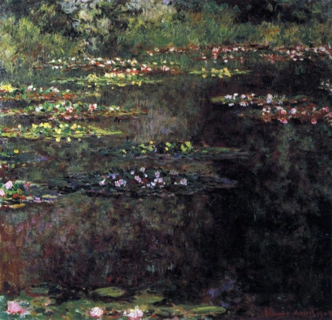 Water Lilies - Aquatic Landscape 5