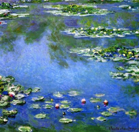 Water lilies 1