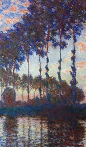 Poplars At Sunset