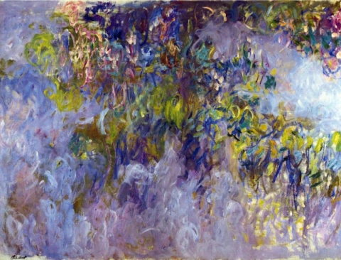 Wisteria 1