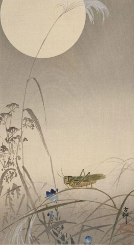 Ohara Koson Heinäsirkka ja täysikuu 1910