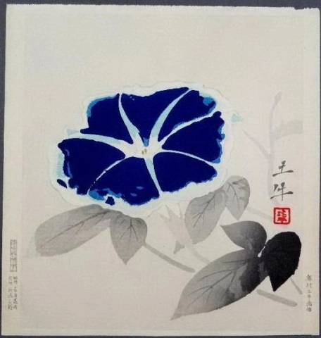 Okumura Togyu Morning Glory 1950