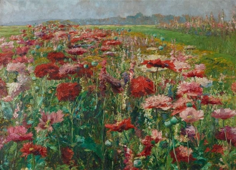 أولجا ويزنجر فلوريان، Blooming Poppies، كاليفورنيا. 1895-1900