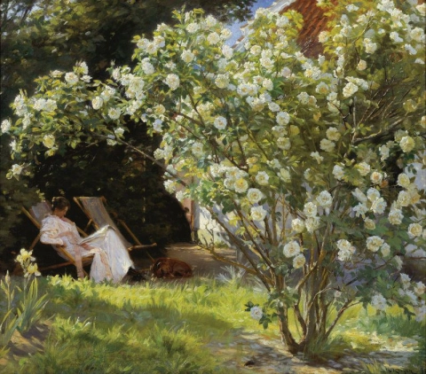 Peder Kroyer Roses