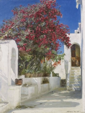 Peder Severin Krøyer, Oleanders in Bloom, Capri, 1896