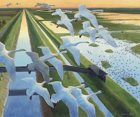 Peter Markham Scott Swan Fall At Wellney 1972