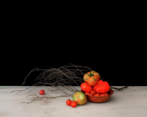 Prune Simon-Vermot Nature morte aux tomates