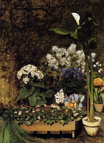 Spring flowers